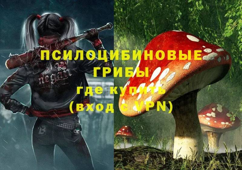 KRAKEN tor  Приволжск  Псилоцибиновые грибы Psilocybine cubensis  даркнет сайт 